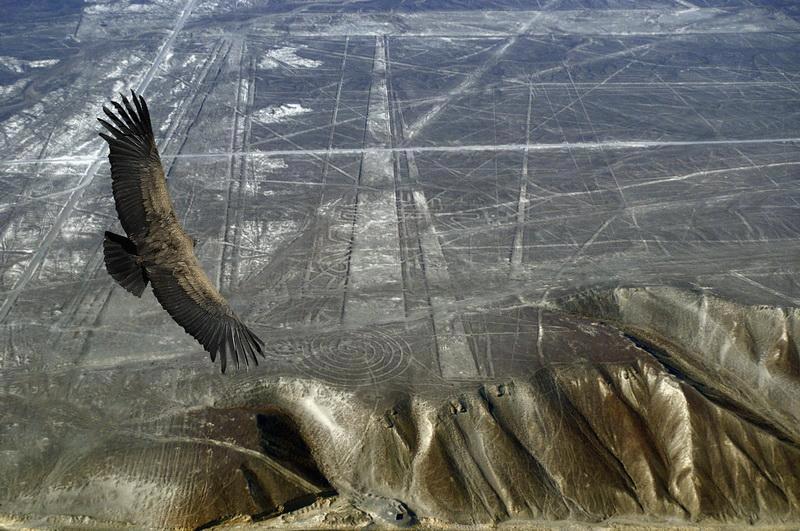 Nazca