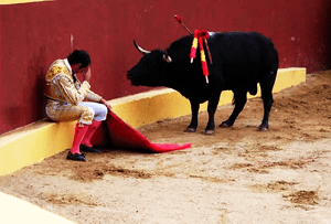 Bullfighter