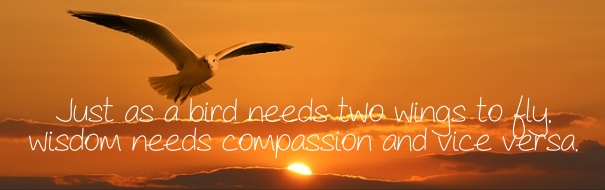 Compassion Bird